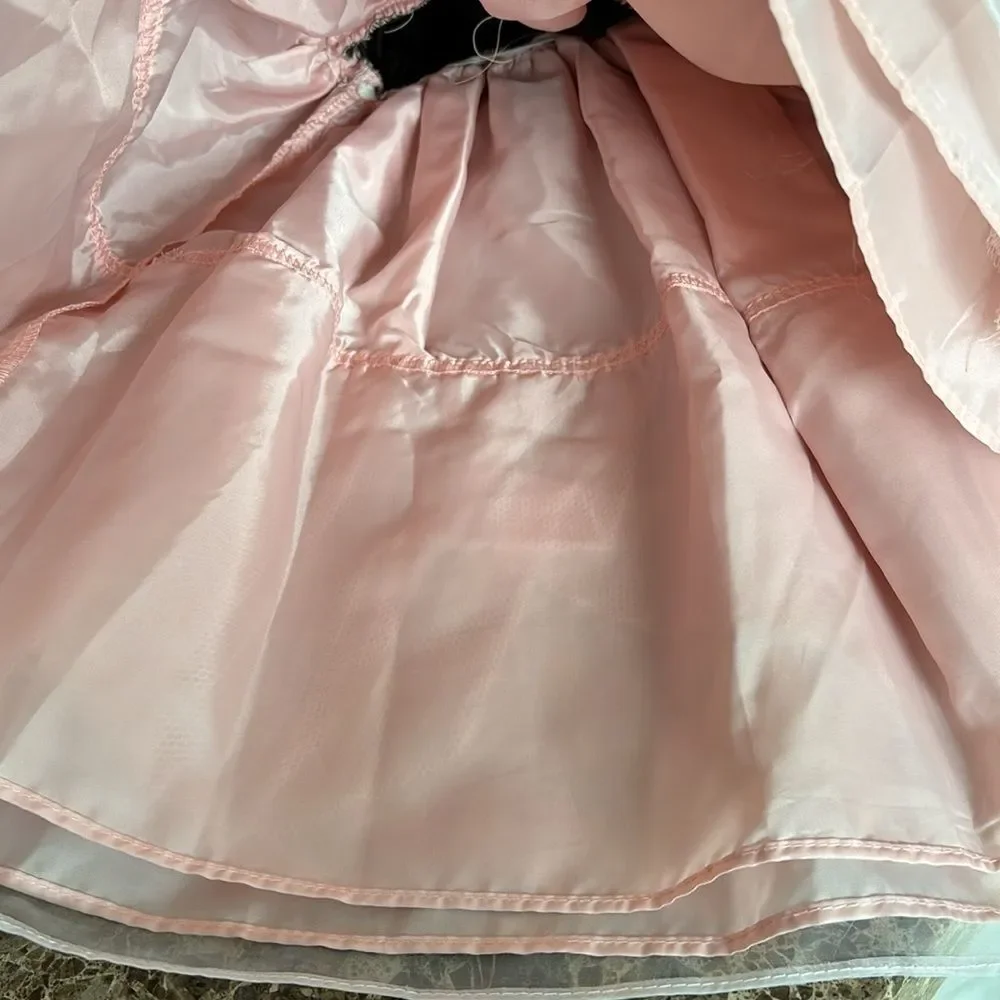 Blueberri Boulevard Toddler Girls Brown PInk Formal Velvet Tulle Dress Size 2T